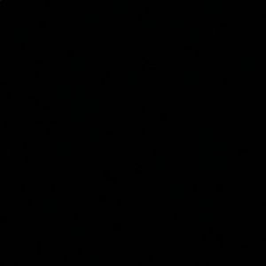 Meet your Posher, Ava